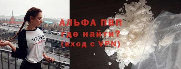 прущий лед Дмитриев