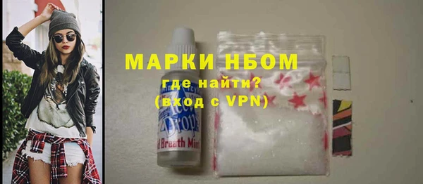 твердый Дмитров