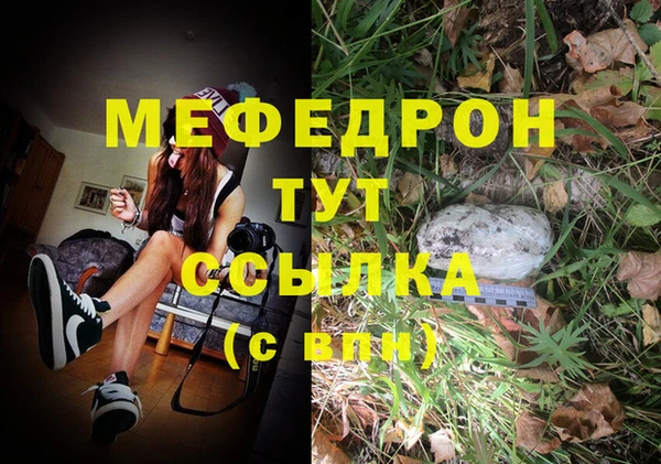 прущий лед Дмитриев
