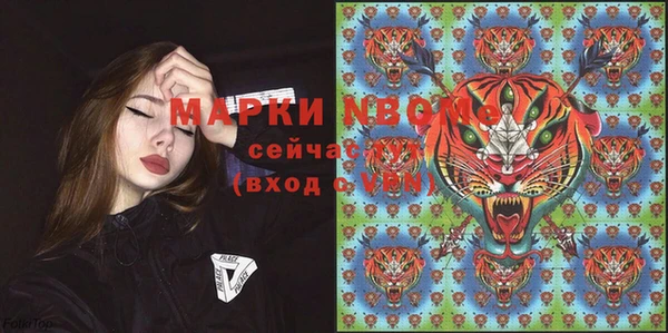 твердый Дмитров