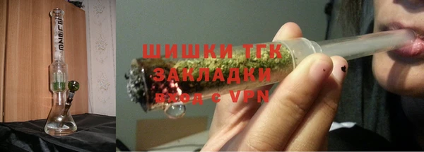 прущий лед Дмитриев