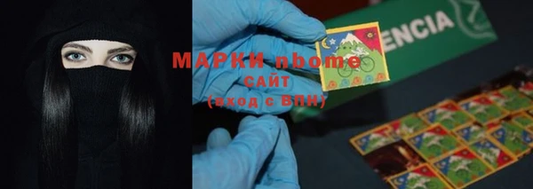 прущий лед Дмитриев