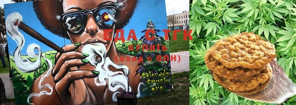 прущий лед Дмитриев
