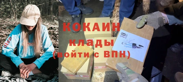 прущий лед Дмитриев