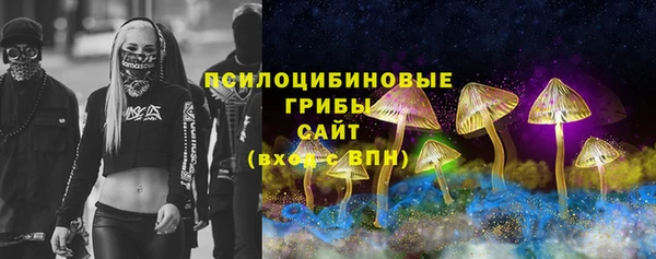 твердый Дмитров