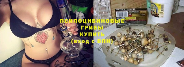 прущий лед Дмитриев