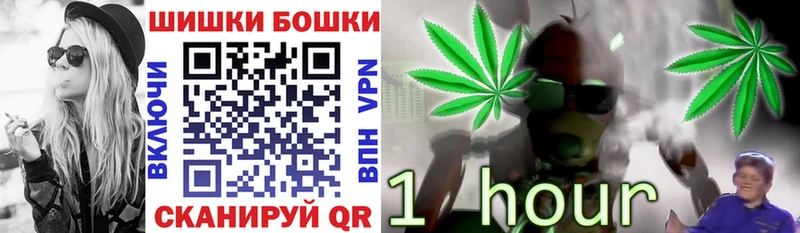 Шишки марихуана план Кирс