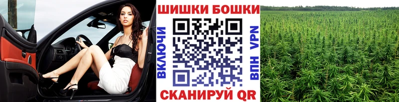 МАРИХУАНА ГИДРОПОН  Купить где  Кирс 